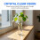 5Pcs Clear Glass Hydroponic Flower Test Tubes for Desktop Decor 5