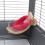 Transparent Plastic Bird Nest Box Wood Base for Parakeet Cage 9