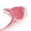 Reusable Plastic Lamb Chops Realistic Fake Meat for Event Decor 5