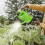 Jardin Vert En Fer Confortable Enfant 2
