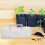 2Pcs White Plastic Garden Seed Organizer Box Portable with Dividers 9