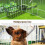 Rabbit Hay Feeder & Water Bottle for Small Pets 4
