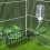 Rabbit Hay Feeder & Water Bottle for Small Pets 7