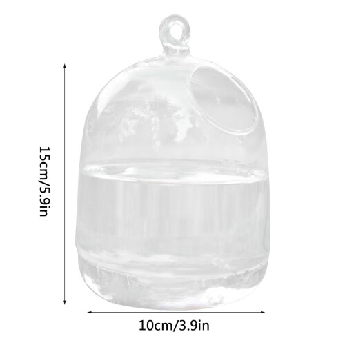 Babhla umar éisc gloine le seastán 1.5L trédhearcach 2