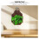 Solid Wood Hanging Plant Board for Home Vertical Garden Wall Decor 5