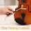 4Stk Violin Einstellhilfe Soundpost Feineinstellung Materialmix 4