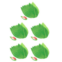 1000St Groene Sushi Bladeren Decor Voor Hotel En Restaurant Gebruik