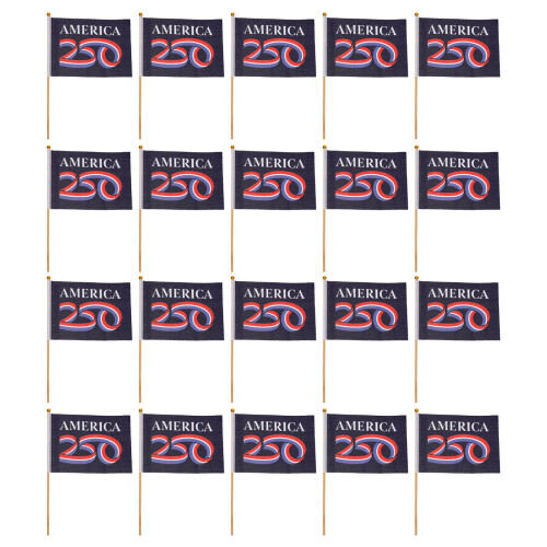20Pcs Durable Us 250Th Birthday Handheld Flags in Assorted Colors