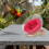 Compact Space Capsule Bird Bed Wooden Plastic Cage Hanging Nest 9