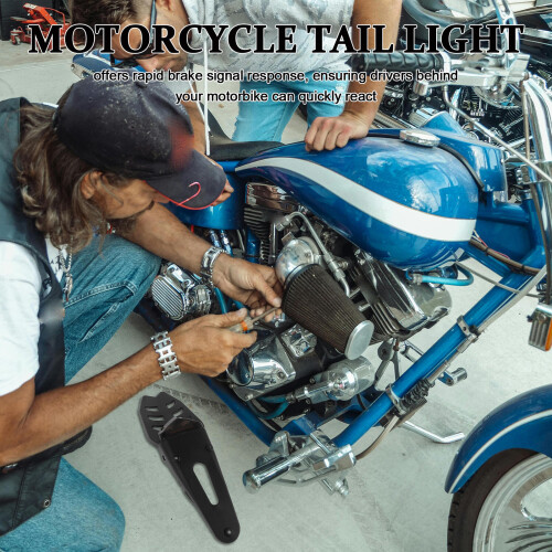 Black Motorcycle Tail Light Easy Install for Various Models 2