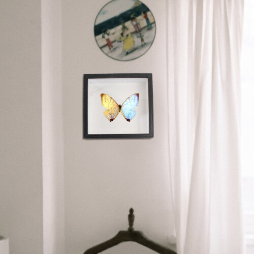 Glass Shadow Box Frame 19.3 x 19.3 cm 1