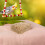 Fiber Bird Bedding for Small Birds and Wild Nesting 3