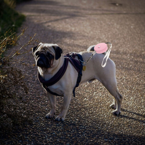 Pink Lightweight Retractable Pet Leash with Wrist Strap 2