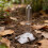 2Pcs Stable Plastic Ant Drinking Station for Small Pet Ant Keeping 3