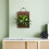 Carbonized Wood Vertical Plant Display Board for Home Wall Decor 3