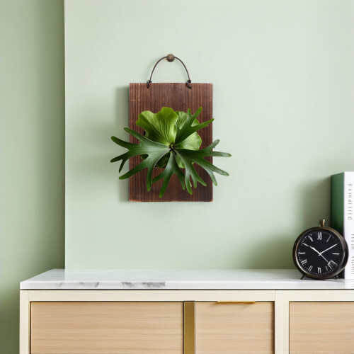 Carbonized Wood Vertical Plant Display Board for Home Wall Decor 2