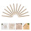 120Pcs Mini Woodworker Pencils Hb Hexagonal Short Pencils for Students 6
