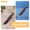 Light Brown Cover Stylish Storage Case 5