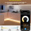 WiFi & BT 2-in-1 LED Strip Controller C21W LED Strip Dim Brightness Mobile APP  Controller Voice Control 7