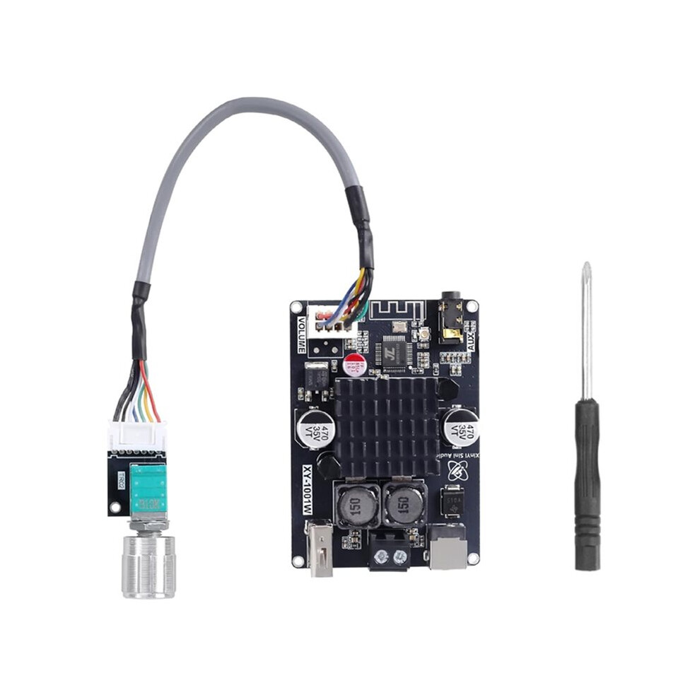 Photos - Car Amplifier 100W Amplifier Board TPA3116 Mono Audio Amp for DIY Speakers Car Audio Home Sound System