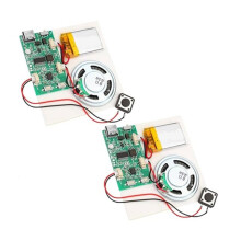 2 Módulos de Grabadora de Sonido Programables, Chip de Módulo de Grabación de Voz y Música DIY, Puede Grabar 16 Minutos de Música y Sonido