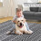 Boho Area Rug Chenille Round 4 x 4 Ft Black White 5