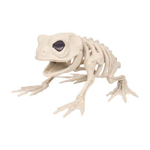 Plastskjelettfrosk Halloween-dekorasjon, 1 stk. 1