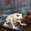 Plastskjelettfrosk Halloween-dekorasjon, 1 stk. 1