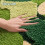 Grön badrumsmatta moss estetisk 3D blommig 60x90cm 2