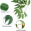 Willow Garland Greenery 5.5 Feet 2