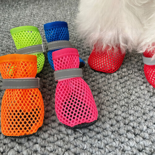 Baskets canines légères, 4 lots, chaussures canines à-Vert S 2