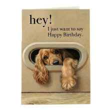 Cartoon Dog Illustrated Birthday Card Puppy Themed Birthday-D