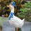 Elegante Paar Entenstatue Schöne Entendekoration Simulation Harz 5
