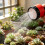 Compacts Watering Nozzle Easy Install Plant-Black 400 mesh 5