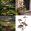 Elegant Mushroom Toadstool Plaque To Enhancing Your Courtyards 2