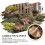Elegant Mushroom Toadstool Plaque To Enhancing Your Courtyards 4