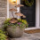Elegant Mushroom Toadstool Plaque To Enhancing Your Courtyards 5