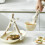Multipurpose Dish Holders With Ergonomic Grip Dish-Yellow 3