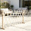 Garden Trellis Expanded Willows Trellis Plant Support Plant 4