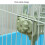 Cage Mount Pet Water Dispenser Automatic Drinker Large-Pink 5