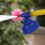 Diatomaceous Earth Powder Duster Large Adjustable Sprayer Large 6