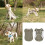 Protective Dog Clothing Mesh Design Keep Pet Cool In-Blue M. 3
