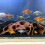 Interaction FishTank Decoration 3D Print Tunnel Cave-1 3 3