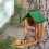 Squirrel Feeder with Corn Cob Holder and Water Bowl 5