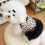 Robe et jupe pour chien, pull de princesse, imprimé léopard,-XS 6