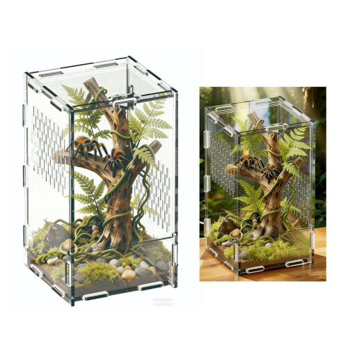 Réservoirs de terrarium amphibiens avec zone de visualisation 1