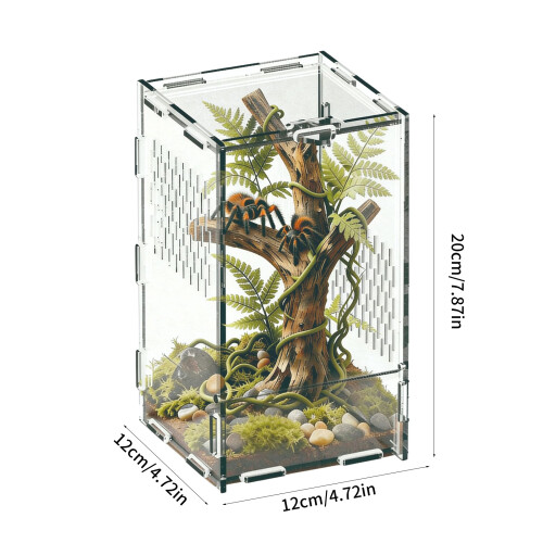 Réservoirs de terrarium amphibiens avec zone de visualisation 2