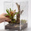 Réservoirs de terrarium amphibiens avec zone de visualisation 4