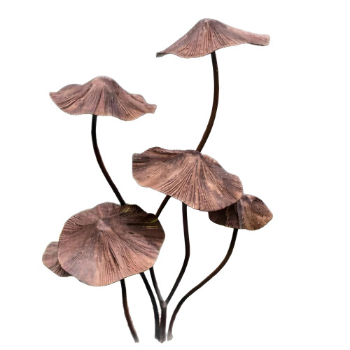 Elegant Mushroom Toadstool Plaque To Enhancing Your Courtyards
