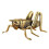 Elegante antike Cricket-Skulptur aus Messing, 1